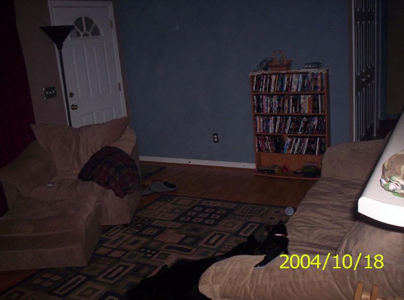 Interior scene with couches, a bookshelf, and a door