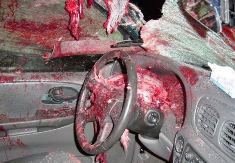1996 Ford Bronco - most disgusting/awesome thing I've ever seen