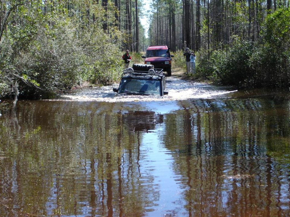 Dark SUV with roof rack fording a flooded forest trail, red SUV and bystanders behind