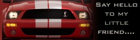 2000 Ford Mustang photo