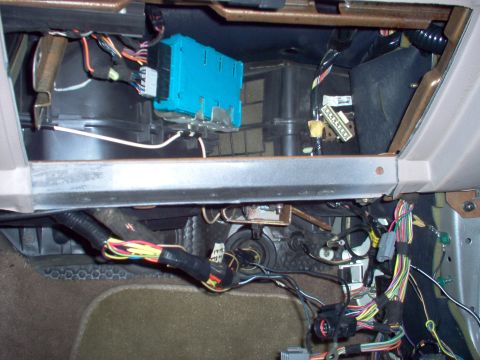1994 Ford Crown Victoria - Even though not equipped, this harness is wired for Illuminated Entry & power antenna.