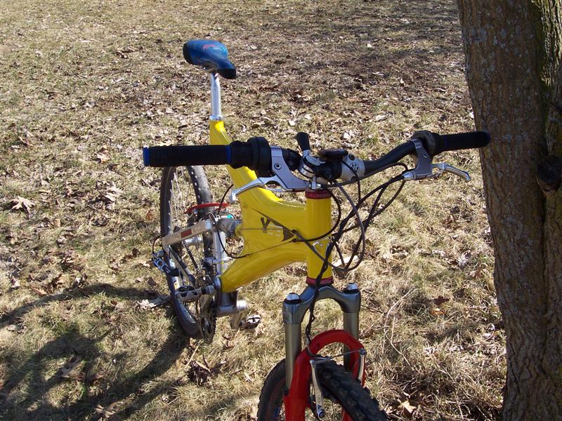 Yellow mountain bike front view with blue seat and tree trunk on right