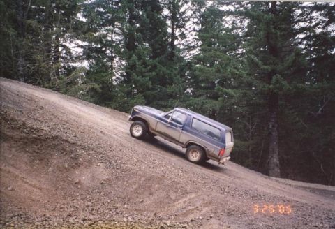 1982 Ford Bronco photo