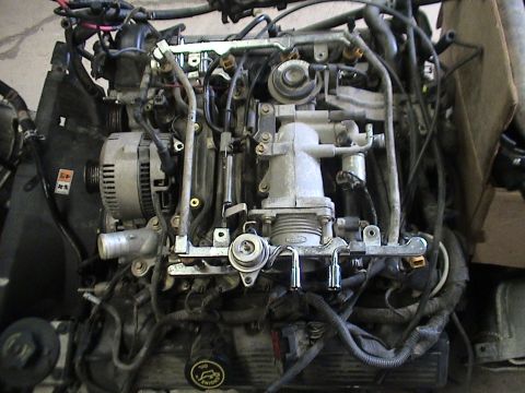 1994 Ford Crown Victoria - Fuel Rails