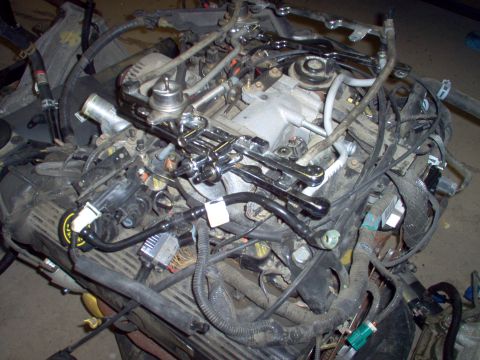 1994 Ford Crown Victoria - Fuel Rails Top to bottom: 1994, 1996, 2000