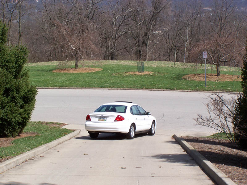White 2001 Ford Taurus sedan parked on a paved surface with a grassy hill and trees in the background