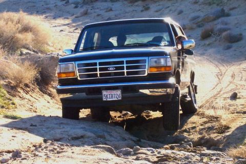 1996 Ford Bronco - A happy truck!