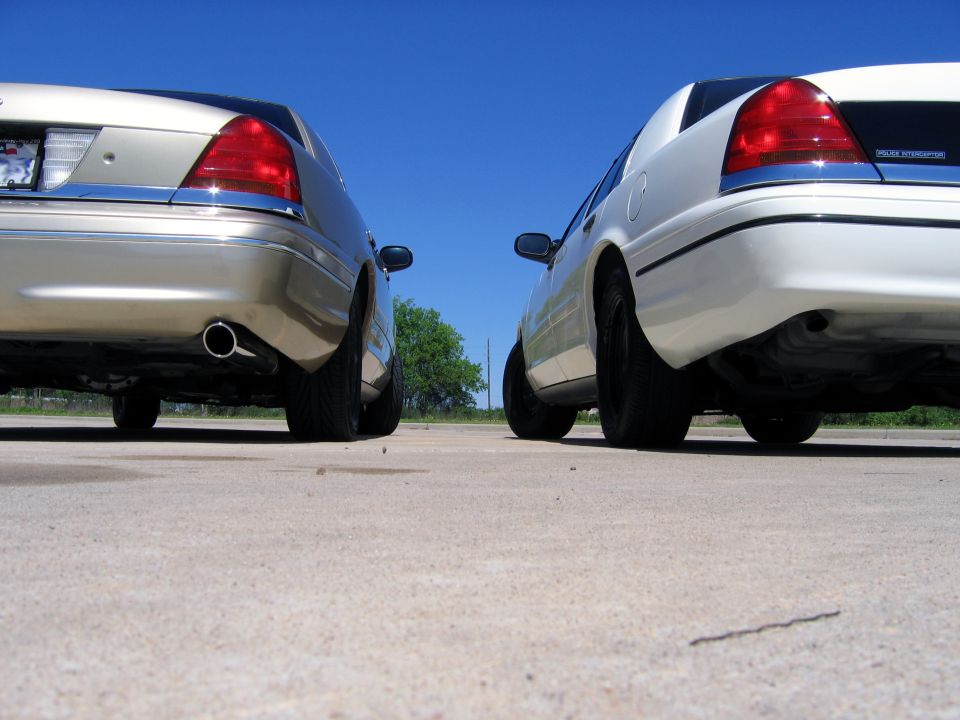 Two Ford Crown Victorias, one tan and one white, viewed from the rear at a low angle