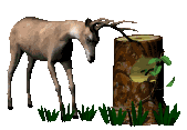 1991 Mazda Navajo - A deer stands in a dark, grassy area next to a broken tree stump.