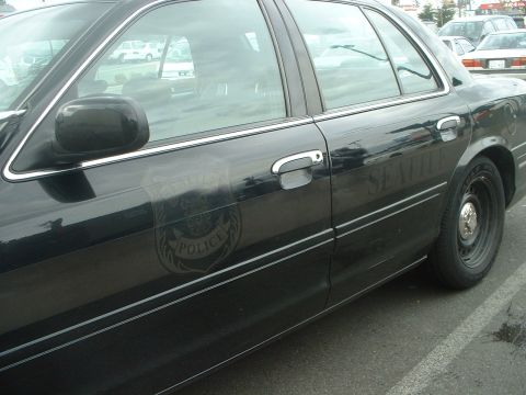 1999 Ford Crown Victoria - Can you see the decals now? These are the way they're supposed to look like.