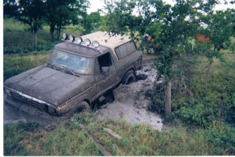 1979 Ford Bronco photo