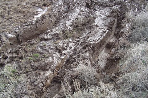 1978 Ford Bronco - Tire tracks deeply embedded in muddy terrain with sparse dry vegetation. Supermotors.net logo in corner.