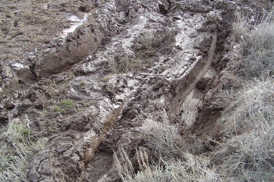 Muddy ground with deep tire tracks and dry brush. Supermotors.net logo visible