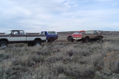 1978 Ford Bronco photo