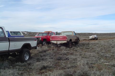 1978 Ford Bronco photo