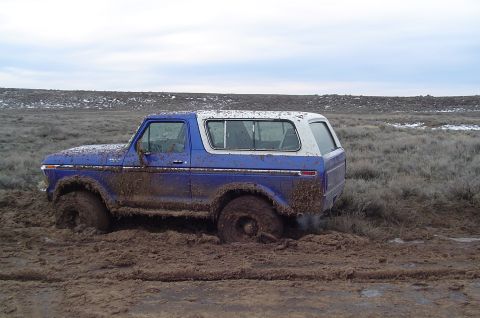 1978 Ford Bronco photo