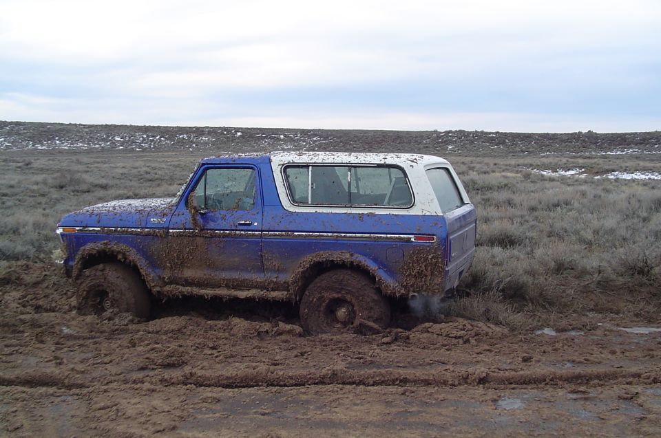 Mud-covered blue and white 1978 Ford Bronco stuck in deep mud, side view