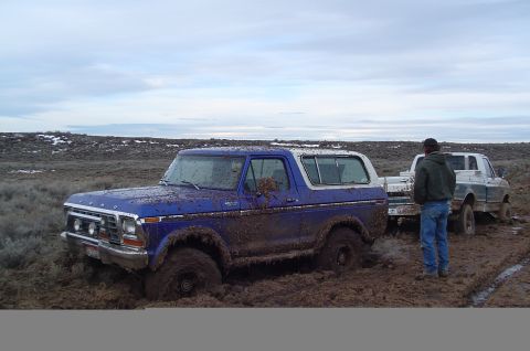 1978 Ford Bronco photo