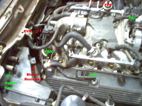 1994 Ford Crown Victoria - Parts in 94 engine bay
