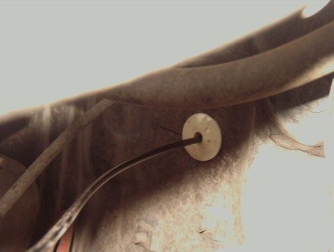1993 Ford Bronco - Detail of a hand throttle cable installation, showing the cable passing through a white grommet in the firewall.