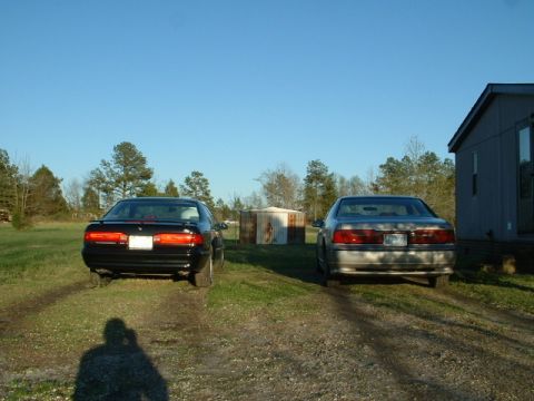 1989 Ford Thunderbird “Totaled”