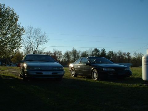 1989 Ford Thunderbird - Two coupes sit parked on a grassy area under a clear blue sky, with trees in the background.