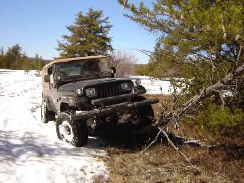 1978 Chevrolet C/K Pickup - A black Jeep Wrangler navigates a snowy path, with a fallen tree partially obstructing its way.