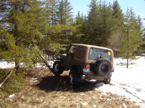 1978 Chevrolet C/K Pickup - A Jeep Wrangler navigates a snowy, wooded trail with a fallen tree branch.