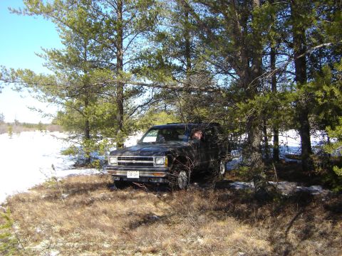 1978 Chevrolet C/K Pickup - A black Chevrolet S-10 Blazer is parked among trees in a snowy, wooded landscape.