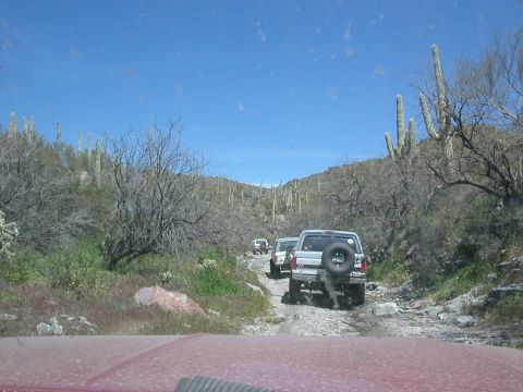 1984 Ford Bronco - Several SUVs navigate a dusty, cactus-lined desert trail under a clear blue sky.