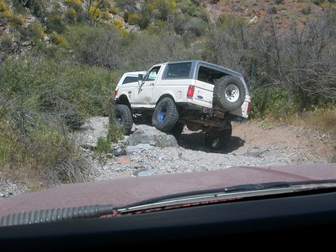 1984 Ford Bronco - cruizin...