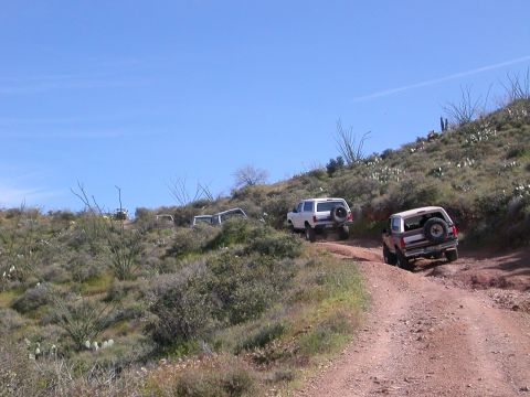 1984 Ford Bronco - group shot...