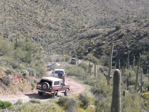 1984 Ford Bronco - group shot #2. (note the third tire/rim change on the right rear of Slide427's bronco....)