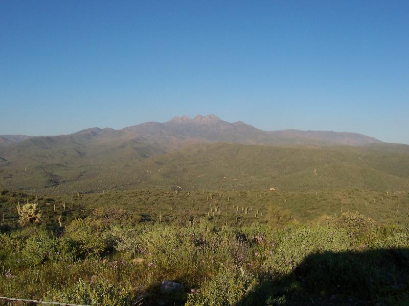 mountain range with cacti and brush under a clear blue sky