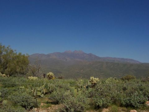 1988 Ford Bronco - A wide view of a desert scene with mountains in the background and various desert plants in the foreground.