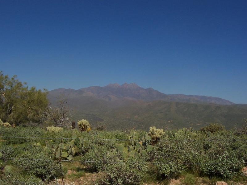 Desert landscape with cacti, scrub brush, and mountains under a clear blue sky. A "SUPERMOTORS" logo is visible in the lower right corner