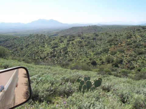 1988 Ford Bronco - View of a desert landscape with mountains and cacti, observed from the side mirror of a vehicle.