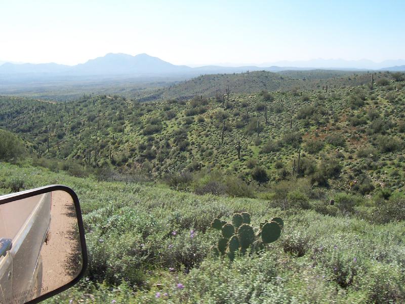 Desert landscape with mountains and cacti, seen from a vehicle's side mirror