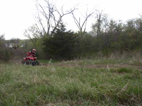 2000 Honda 400 EX photo