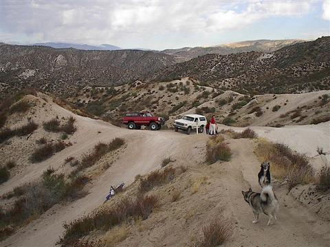1988 Ford Bronco - Two SUVs and a dirt bike are parked on a dusty trail in a mountainous, arid region with two dogs nearby.