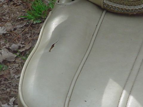 1979 Ford Bronco - Close-up view of damaged car seat upholstery, showing a tear and stitching.