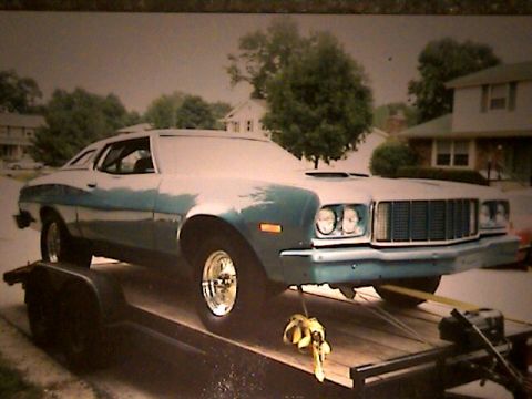 1977 Ford F-150 - Torino