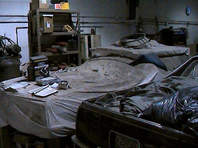 Garage with vehicles under dusty tarps; rear of dark vehicle with plate 239586 in foreground