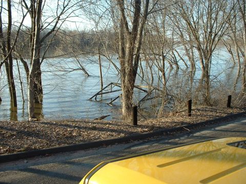 1993 Ford Bronco - Flooded river scene with trees and submerged debris. A yellow vehicle is partially visible in the foreground.