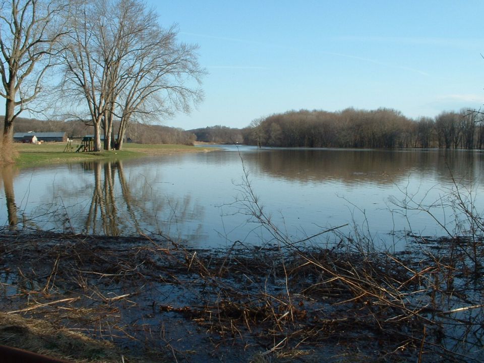 Flooded landscape with trees and buildings under a blue sky
