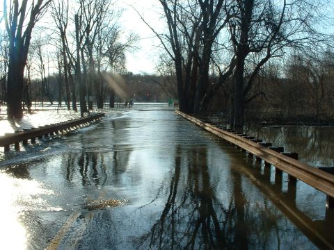 1993 Ford Bronco - A road is submerged under floodwaters, with trees lining the sides and their reflections visible.