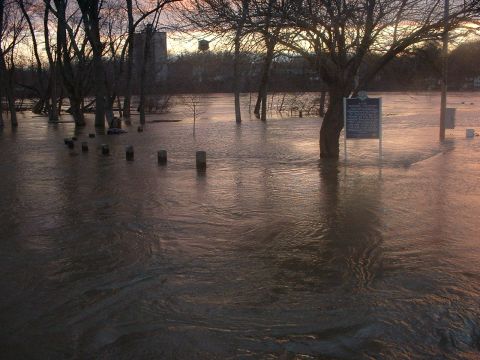 1993 Ford Bronco - A flooded area with trees and a sign, likely from a natural disaster event.