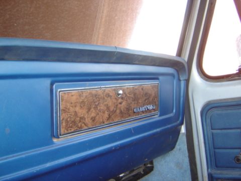 1992 Ford Bronco - Close-up of a truck's interior door panel woodgrain trim and a 'CUSTOM' badge.