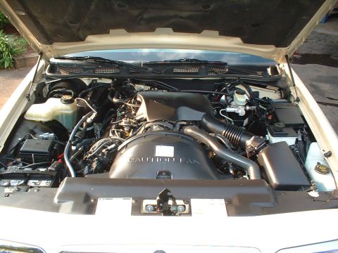 1996 Mercury Grand Marquis - Engine, like always, nice and clean 8-)
