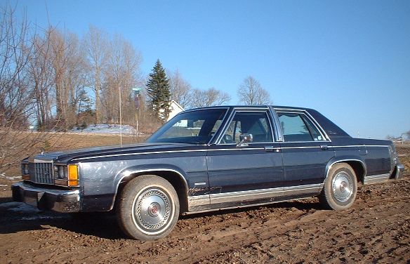 Sitting in the muddy driveway...